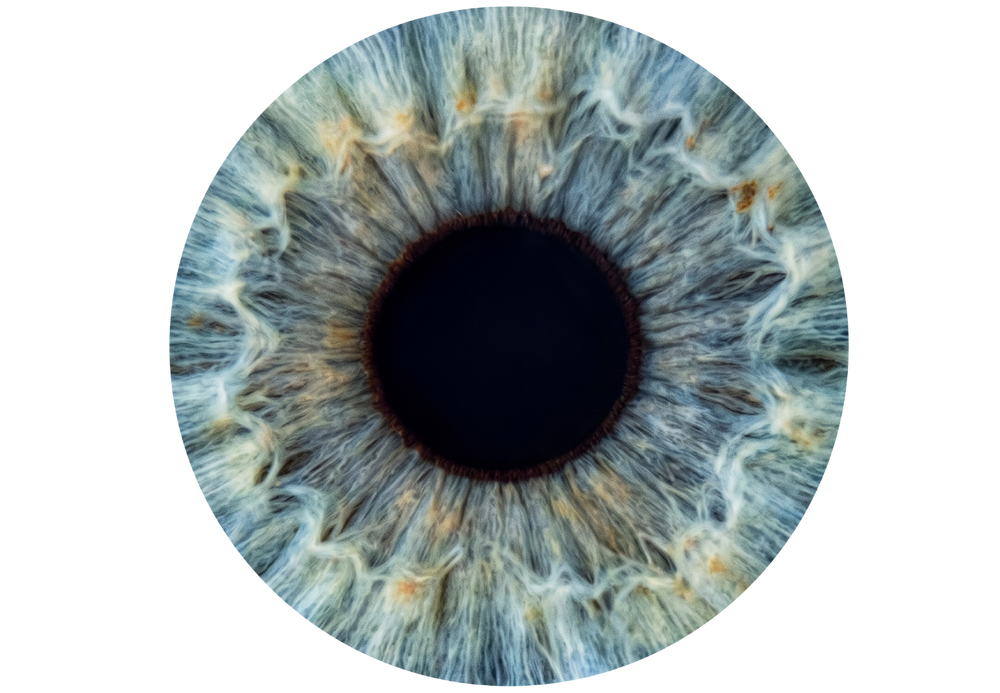 No Effect example, 1 iris