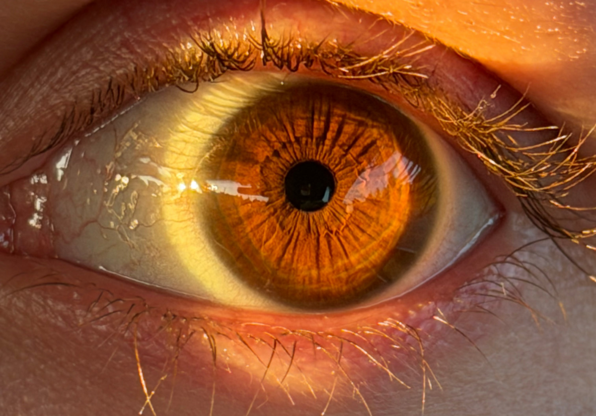 Extreme close-up of a human eye with a warm amber-brown iris, black pupil, and visible eyelashes and surrounding skin under warm lighting.